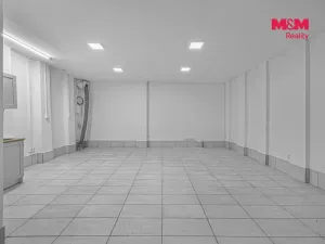 Prodej obchodního prostoru, Praha, Vlkova, 48 m2