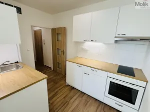 Pronájem bytu 2+kk, Most, Jana Opletala, 34 m2