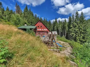 Prodej chalupy, Vítkovice, 500 m2