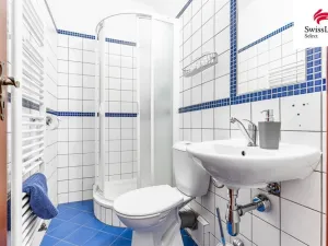 Prodej chalupy, Nový Šaldorf-Sedlešovice - Nový Šaldorf, Na Staré cestě, 176 m2
