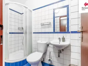 Prodej chalupy, Nový Šaldorf-Sedlešovice - Nový Šaldorf, Na Staré cestě, 176 m2