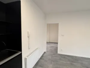 Pronájem bytu 2+kk, Opava, Otická, 55 m2