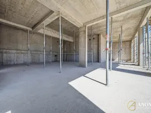Prodej obchodního prostoru, Brno, 236 m2