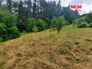 Prodej pozemku pro bydlení, Újezd pod Troskami - Hrdoňovice, 2948 m2