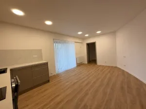 Pronájem bytu 1+kk, Ústí nad Labem, Bělehradská, 33 m2