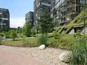 Pronájem bytu 2+kk, Praha - Žižkov, Pitterova, 70 m2