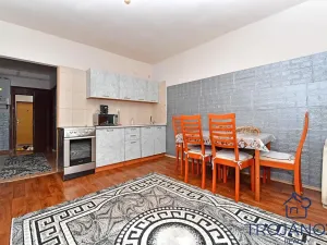 Prodej činžovního domu, Petroupim, 306 m2