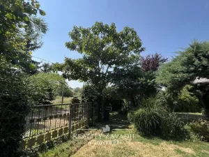 Prodej rodinného domu, Dohalice - Horní Dohalice, 80 m2
