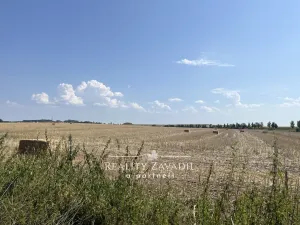 Prodej rodinného domu, Dohalice - Horní Dohalice, 80 m2