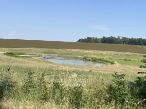 Prodej rodinného domu, Dohalice - Horní Dohalice, 80 m2