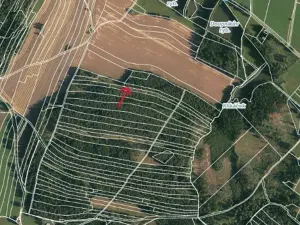 Prodej lesa, Strmilov, 2392 m2