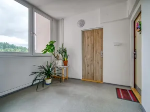 Pronájem bytu 1+kk, Tanvald, Radniční, 25 m2