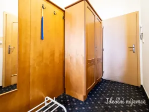 Pronájem bytu 1+kk, Praha - Nusle, Slavojova, 26 m2