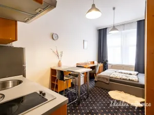 Pronájem bytu 1+kk, Praha - Nusle, Slavojova, 26 m2