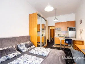 Pronájem bytu 1+kk, Praha - Nusle, Slavojova, 26 m2
