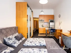 Pronájem bytu 1+kk, Praha - Nusle, Slavojova, 26 m2