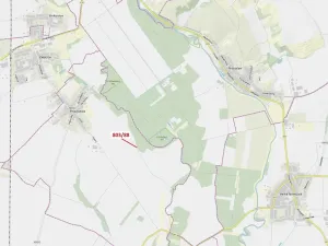 Dražba lesa, Přísnotice, 107 m2