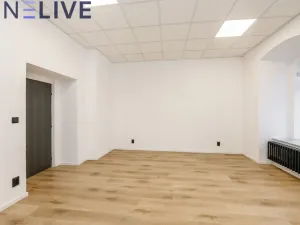 Pronájem kanceláře, Plzeň, Tylova, 22 m2