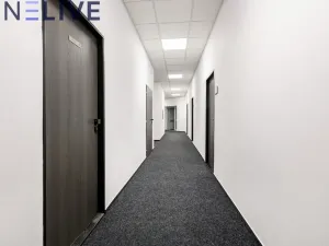Pronájem kanceláře, Plzeň, Tylova, 22 m2