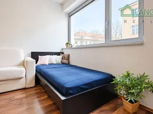 Pronájem bytu 1+kk, Brno, Hybešova, 36 m2
