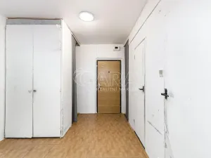 Prodej bytu 3+1, Ostrava - Bělský Les, Bohumíra Četyny, 64 m2