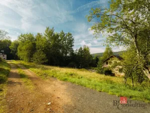 Prodej komerčního pozemku, Železná Ruda - Špičák, 4134 m2
