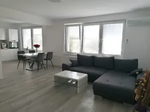 Pronájem bytu 3+kk, Šumice, 100 m2