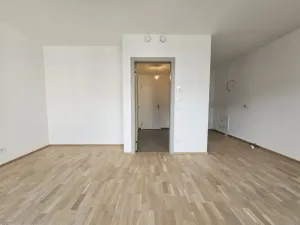 Pronájem bytu 1+kk, Praha, Hartigova, 44 m2