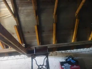 Prodej vícegeneračního domu, Radslavice - Radslavičky, 420 m2