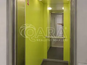 Pronájem bytu 2+1, Praha - Žižkov, Viklefova, 60 m2