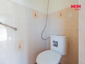Prodej rodinného domu, Čížová - Zlivice, 88 m2