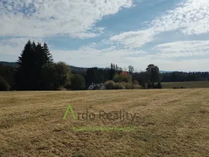 Prodej pozemku, Přední Výtoň, 13285 m2