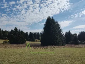 Prodej pozemku, Přední Výtoň, 13285 m2