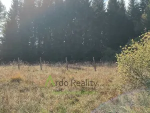 Prodej pozemku, Přední Výtoň, 13285 m2