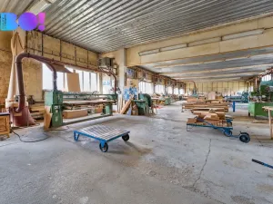 Prodej výrobních prostor, Pačejov, 4031 m2