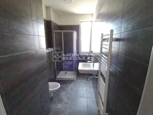 Pronájem bytu 1+kk, Olomouc, Janského, 33 m2