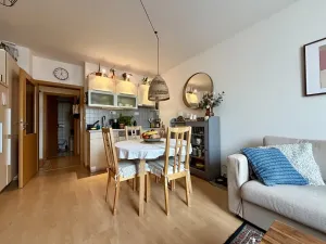 Pronájem bytu 2+kk, Praha - Vinohrady, Velehradská, 48 m2