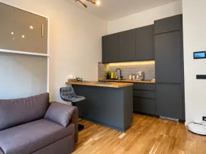 Pronájem bytu 1+kk, Praha - Smíchov, Grafická, 30 m2