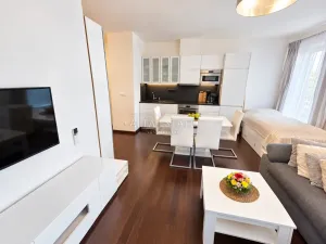Prodej bytu 2+kk, Karlovy Vary - Dvory, Chebská, 50 m2