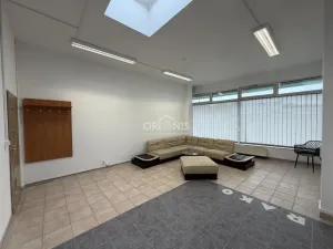 Pronájem obchodního prostoru, Chomutov, Raisova, 217 m2