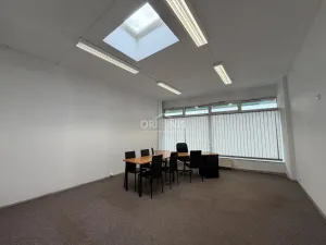 Pronájem obchodního prostoru, Chomutov, Raisova, 217 m2