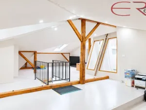 Prodej atypického bytu, Liberec, Klostermannova, 188 m2
