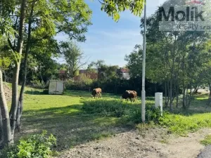 Prodej pozemku pro bydlení, Lipno - Lipenec, 852 m2