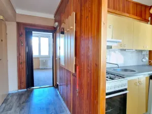 Pronájem bytu 4+kk, Litoměřice - Předměstí, Družstevní, 62 m2