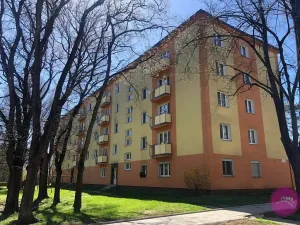 Pronájem bytu 2+1, Olomouc, U kovárny, 53 m2