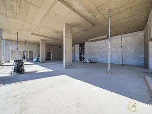 Prodej obchodního prostoru, Brno, 766 m2