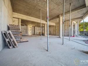Prodej obchodního prostoru, Brno, 259 m2