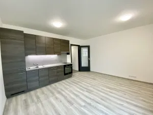 Pronájem bytu 1+kk, Praha - Holešovice, Na Maninách, 33 m2