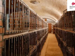 Prodej obchodního prostoru, Jiřice u Miroslavi, 662 m2