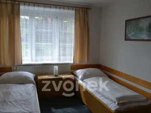 Prodej restaurace, Huslenky, 500 m2